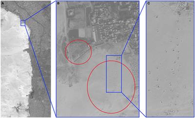 Algorithmic Identification of Looted Archaeological Sites from Space